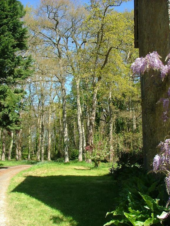 Gites De Launay Guibert Miniac-Morvan Exteriér fotografie