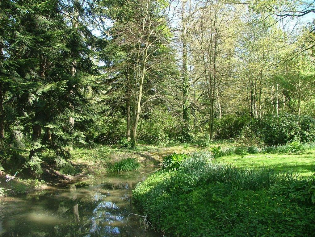Gites De Launay Guibert Miniac-Morvan Pokoj fotografie
